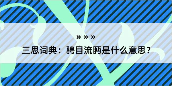 三思词典：骋目流眄是什么意思？