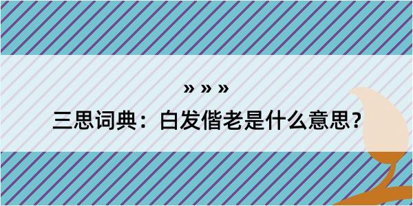 三思词典：白发偕老是什么意思？