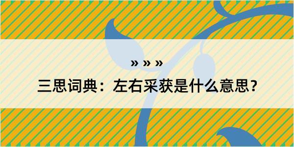 三思词典：左右采获是什么意思？