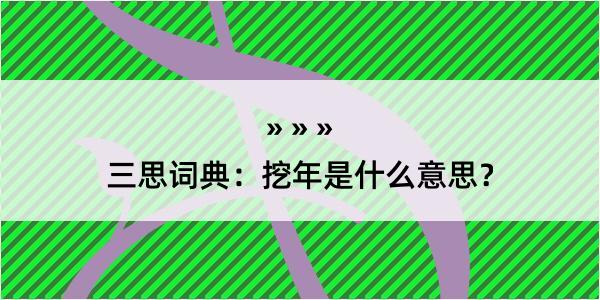 三思词典：挖年是什么意思？