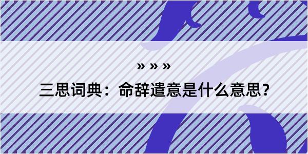 三思词典：命辞遣意是什么意思？