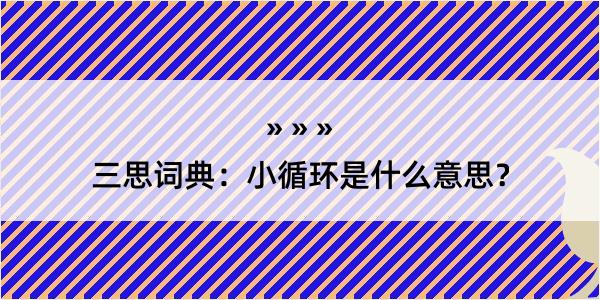 三思词典：小循环是什么意思？