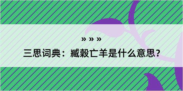 三思词典：臧穀亡羊是什么意思？