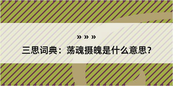 三思词典：荡魂摄魄是什么意思？