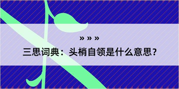 三思词典：头梢自领是什么意思？