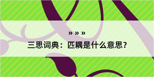 三思词典：匹耦是什么意思？