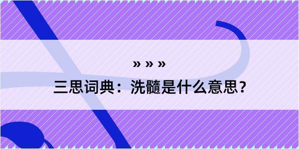 三思词典：洗髓是什么意思？