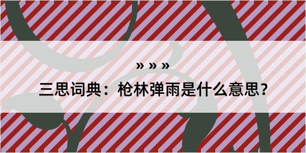 三思词典：枪林弹雨是什么意思？