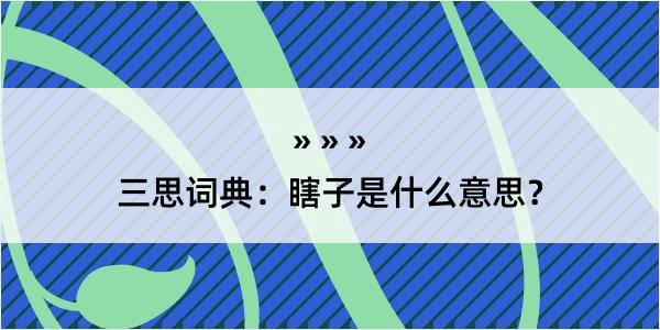 三思词典：瞎子是什么意思？