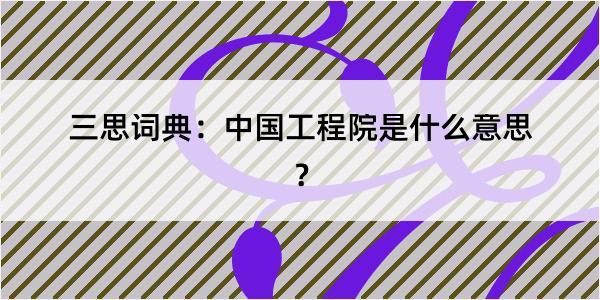 三思词典：中国工程院是什么意思？