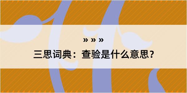 三思词典：查验是什么意思？