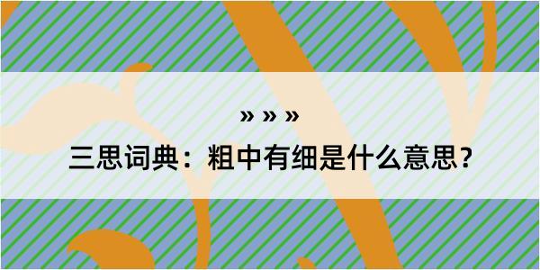 三思词典：粗中有细是什么意思？