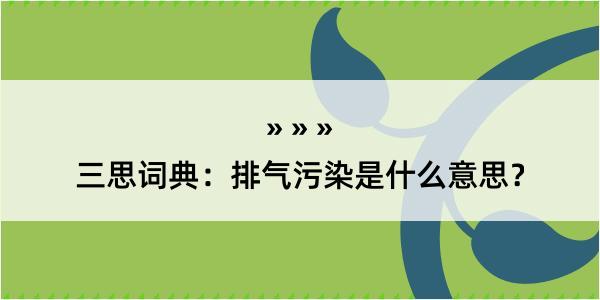 三思词典：排气污染是什么意思？