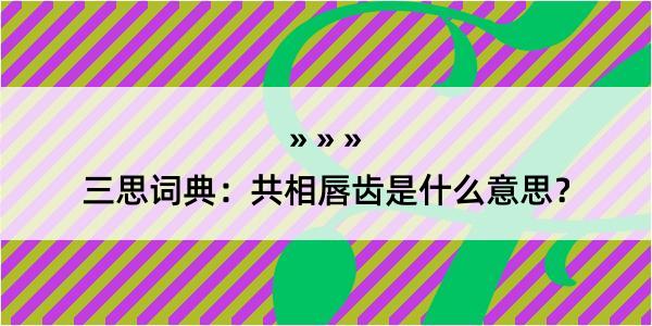 三思词典：共相唇齿是什么意思？