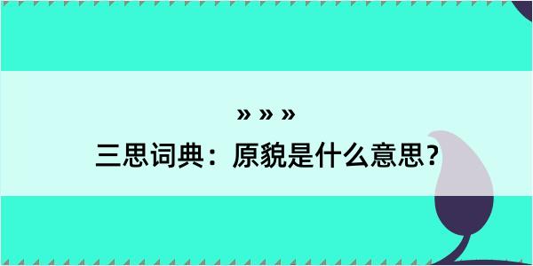 三思词典：原貌是什么意思？