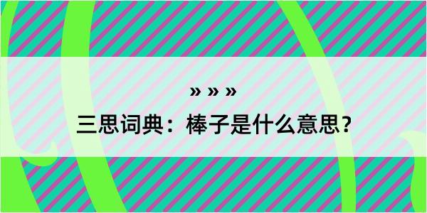 三思词典：棒子是什么意思？