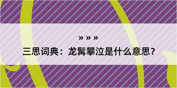 三思词典：龙髯攀泣是什么意思？