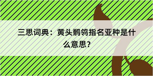 三思词典：黄头鹡鸰指名亚种是什么意思？