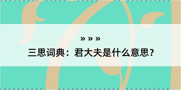 三思词典：君大夫是什么意思？