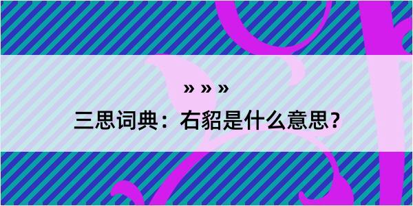 三思词典：右貂是什么意思？