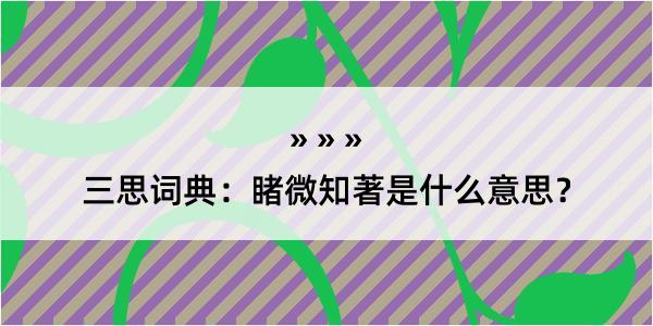 三思词典：睹微知著是什么意思？