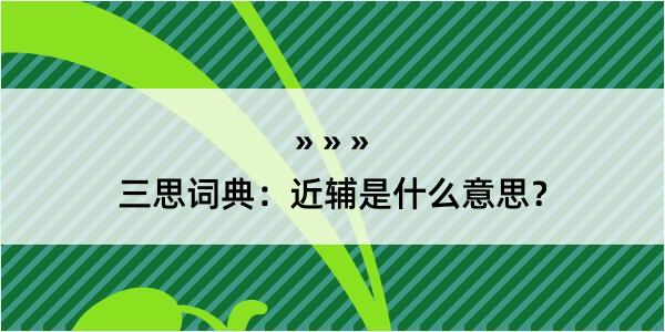 三思词典：近辅是什么意思？