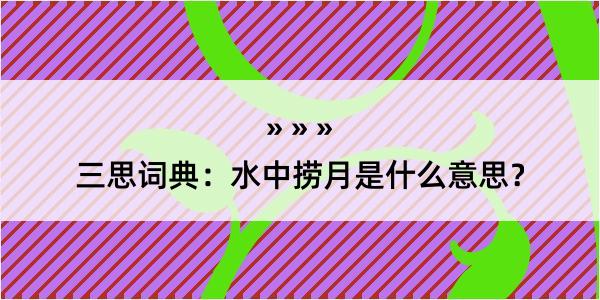 三思词典：水中捞月是什么意思？