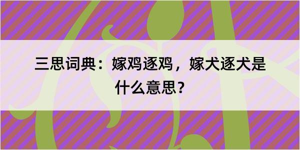 三思词典：嫁鸡逐鸡，嫁犬逐犬是什么意思？