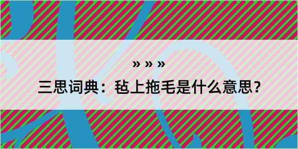 三思词典：毡上拖毛是什么意思？