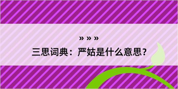 三思词典：严姑是什么意思？