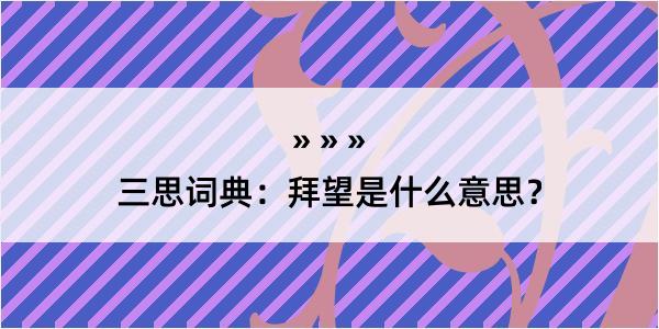 三思词典：拜望是什么意思？