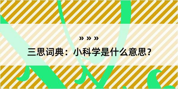 三思词典：小科学是什么意思？