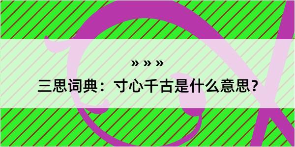 三思词典：寸心千古是什么意思？