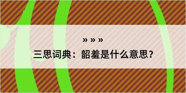 三思词典：韶羞是什么意思？