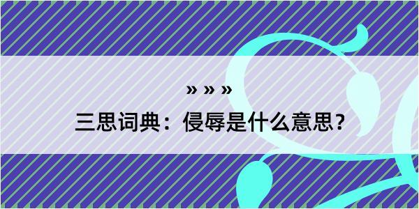 三思词典：侵辱是什么意思？