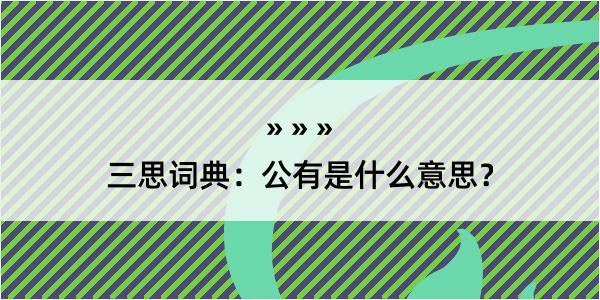 三思词典：公有是什么意思？