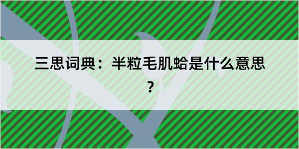 三思词典：半粒毛肌蛤是什么意思？