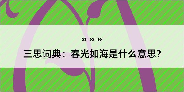 三思词典：春光如海是什么意思？