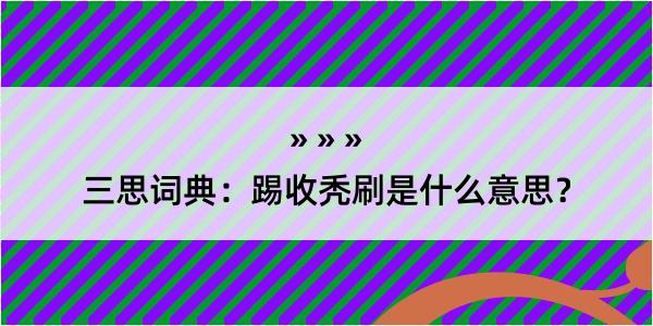 三思词典：踢收秃刷是什么意思？