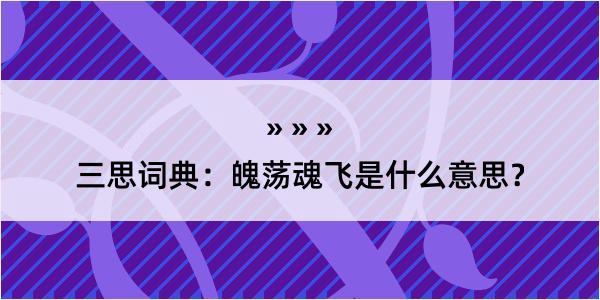 三思词典：魄荡魂飞是什么意思？