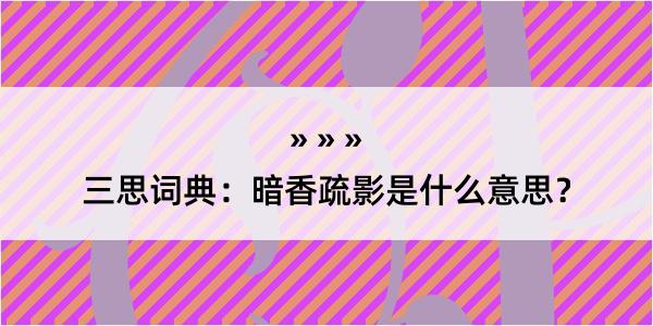 三思词典：暗香疏影是什么意思？