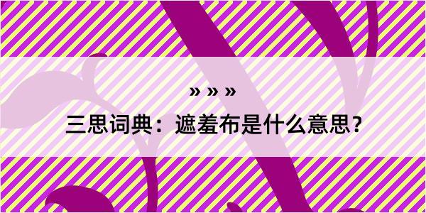 三思词典：遮羞布是什么意思？