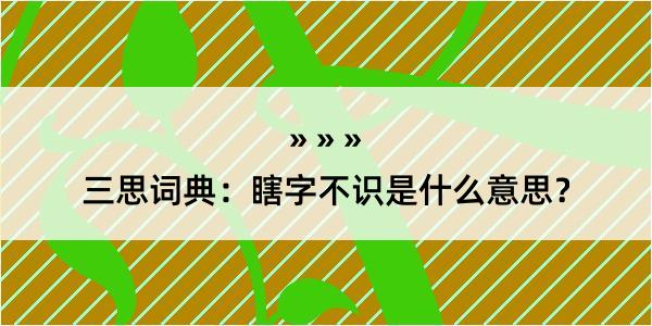 三思词典：瞎字不识是什么意思？