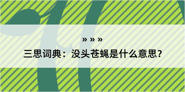 三思词典：没头苍蝇是什么意思？