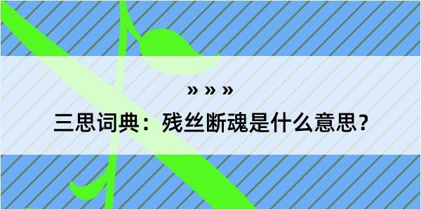 三思词典：残丝断魂是什么意思？