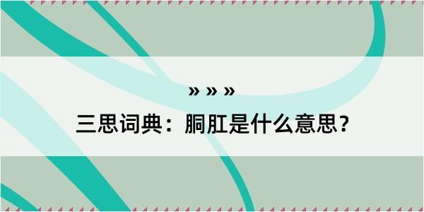 三思词典：胴肛是什么意思？