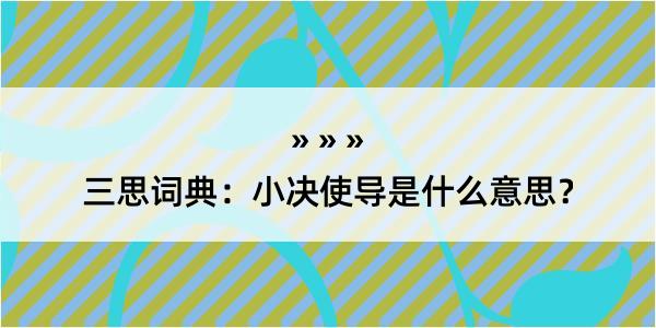 三思词典：小决使导是什么意思？