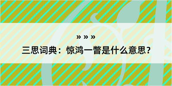 三思词典：惊鸿一瞥是什么意思？