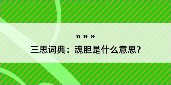 三思词典：魂胆是什么意思？