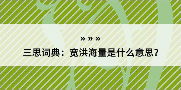 三思词典：宽洪海量是什么意思？